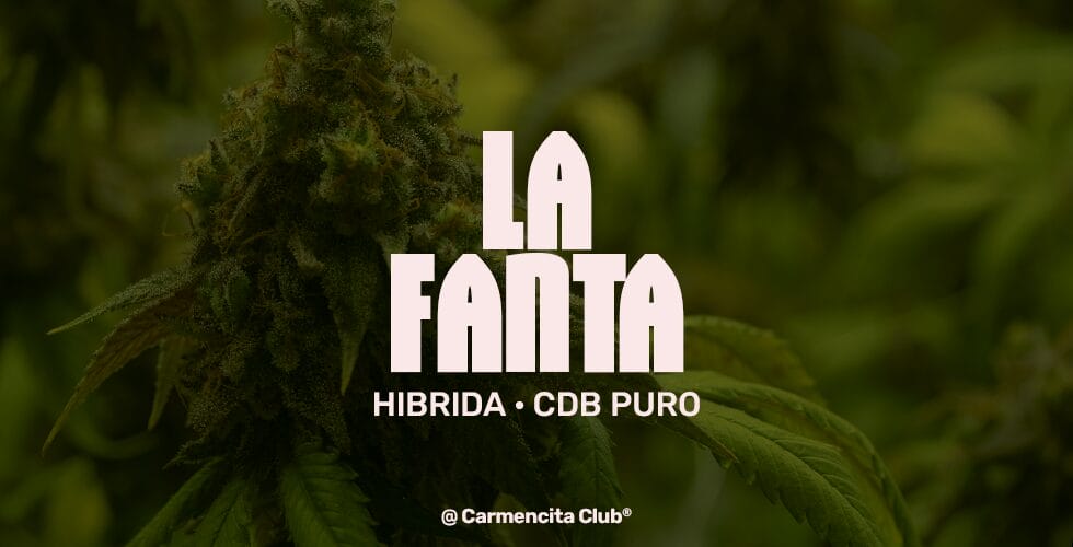 la-fanta-carmencita-club2