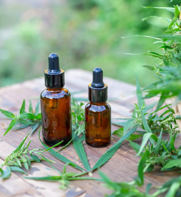 aceite-de-cannabis-carmencita-club_0004