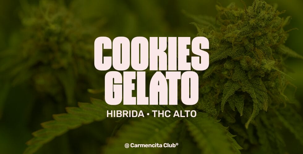 cookies-gelato-carmencita-club