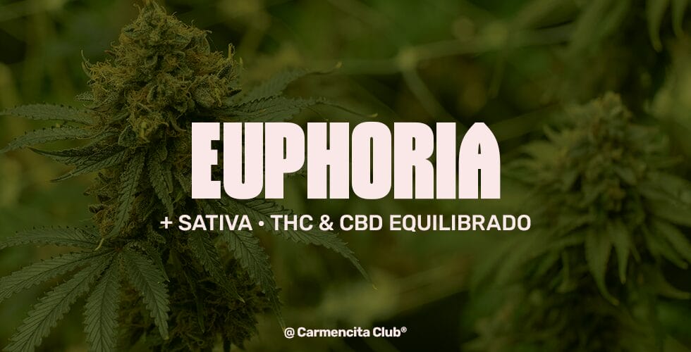 euphoria-carmencita-club2