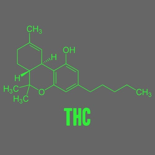 molecula-thc-camiseta-premium-hombre