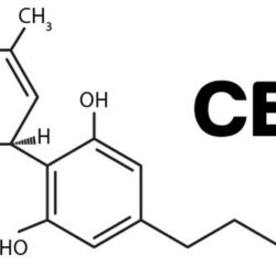 Molecula de que es el cbd