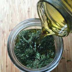 aceite-de-cannabis-carmencita-club_0002